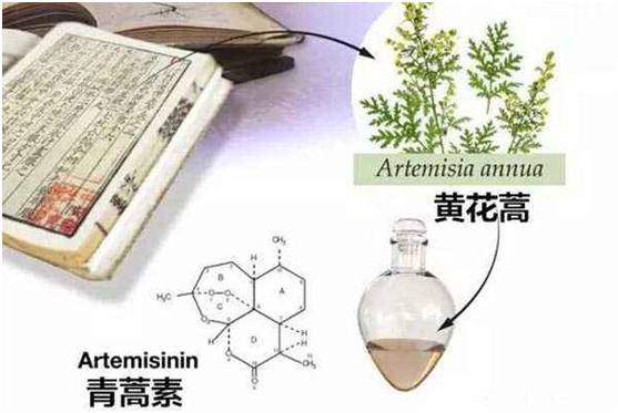 ky开云中文网（中国）科技公司,：向中医药看齐，与世界共享中医药文化(图1)